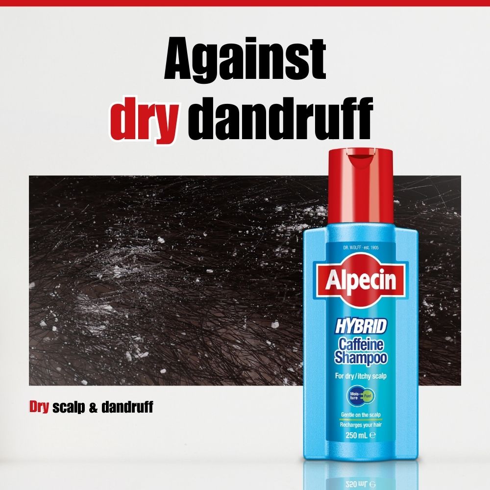 Alpecin Hybrid Caffeine Shampoo - for Dry and Itchy Scalp, 250ml + FREE Drink Bottle worth $15